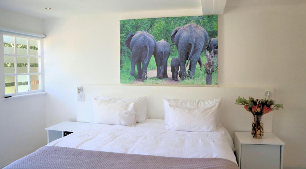 Thelab Cape Town Hotel Hout Bay Ngoại thất bức ảnh