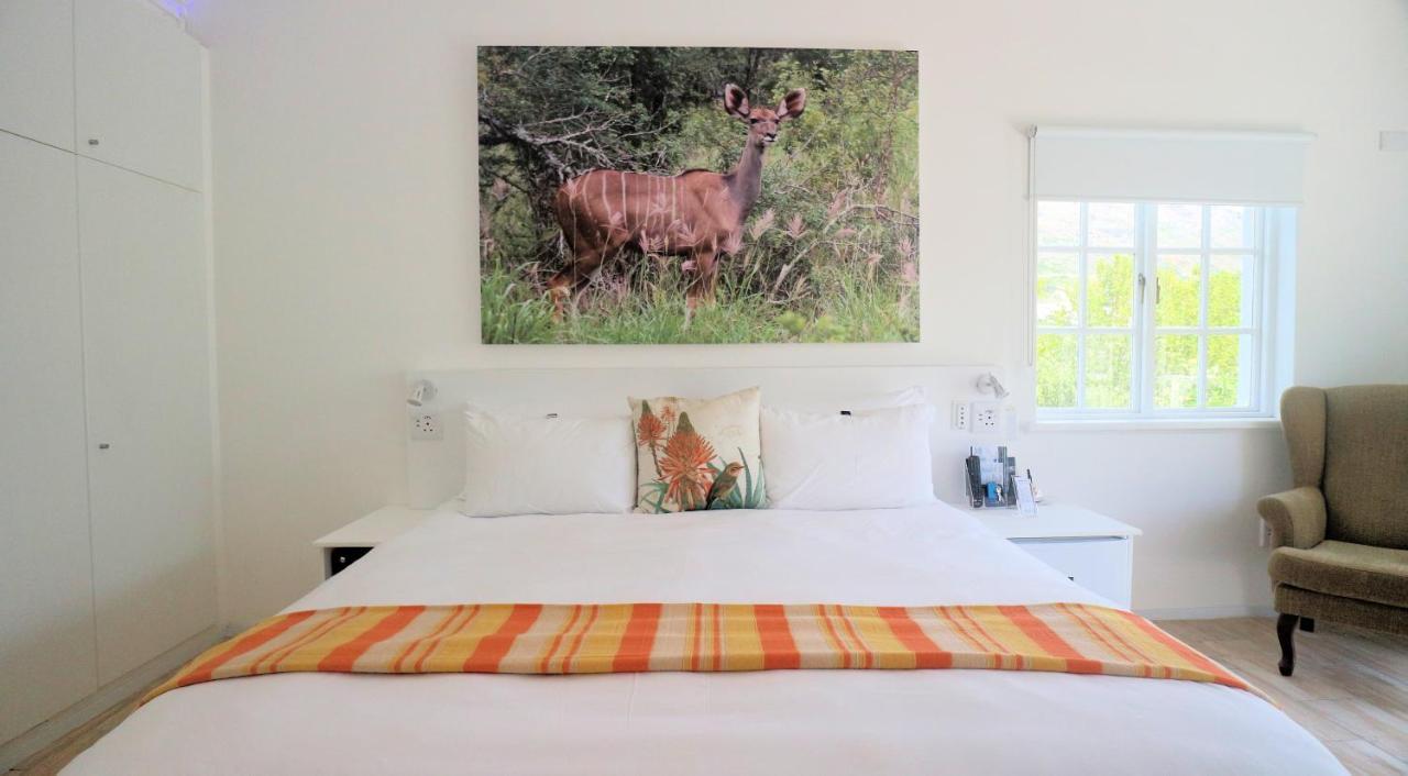 Thelab Cape Town Hotel Hout Bay Ngoại thất bức ảnh