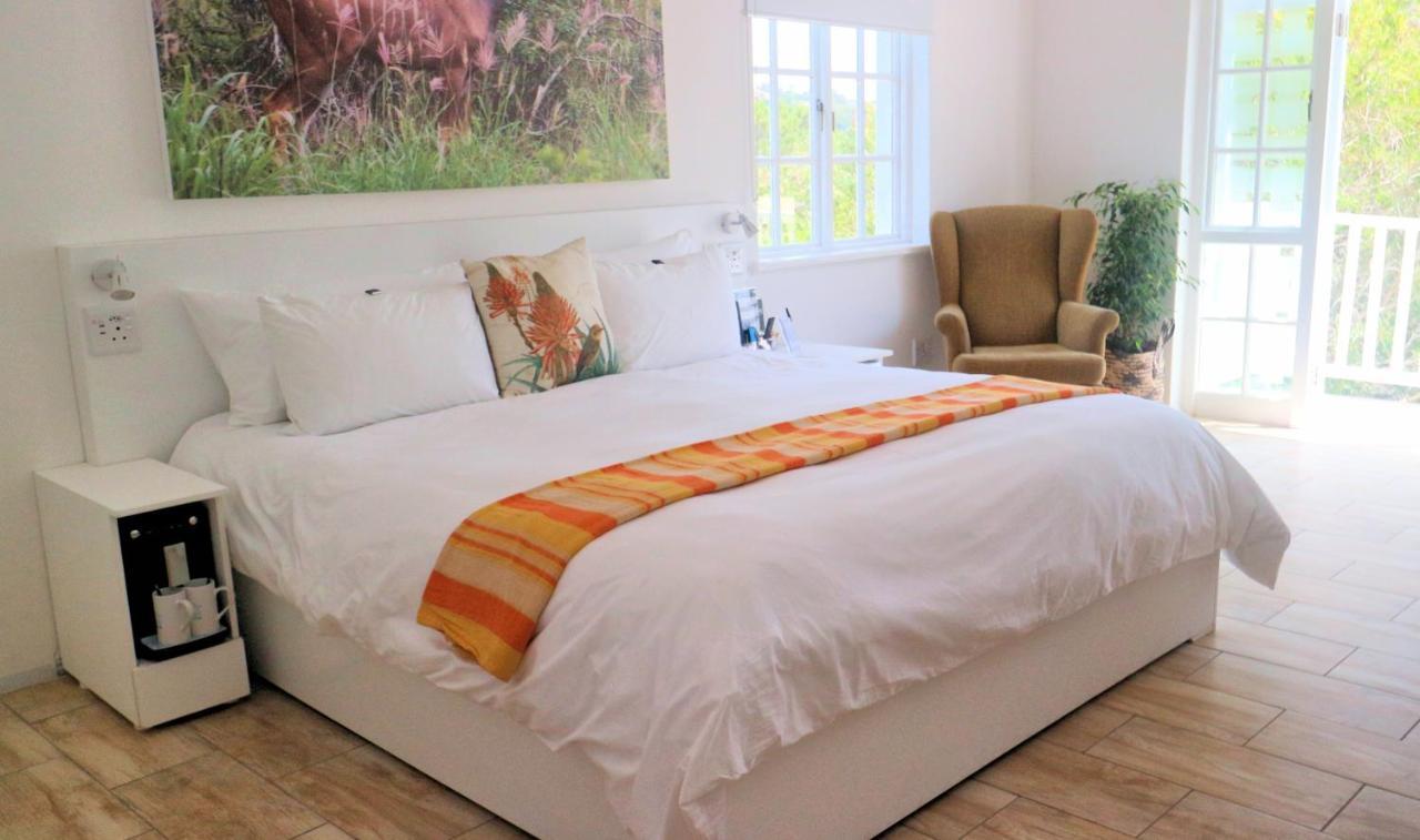 Thelab Cape Town Hotel Hout Bay Ngoại thất bức ảnh