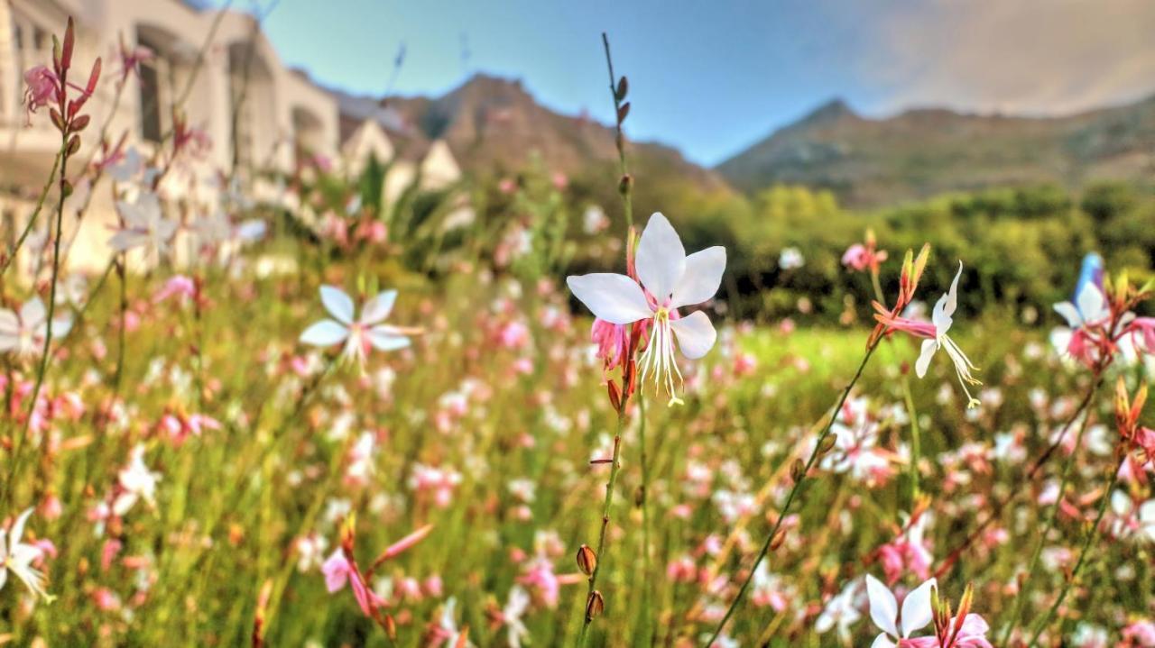 Thelab Cape Town Hotel Hout Bay Ngoại thất bức ảnh